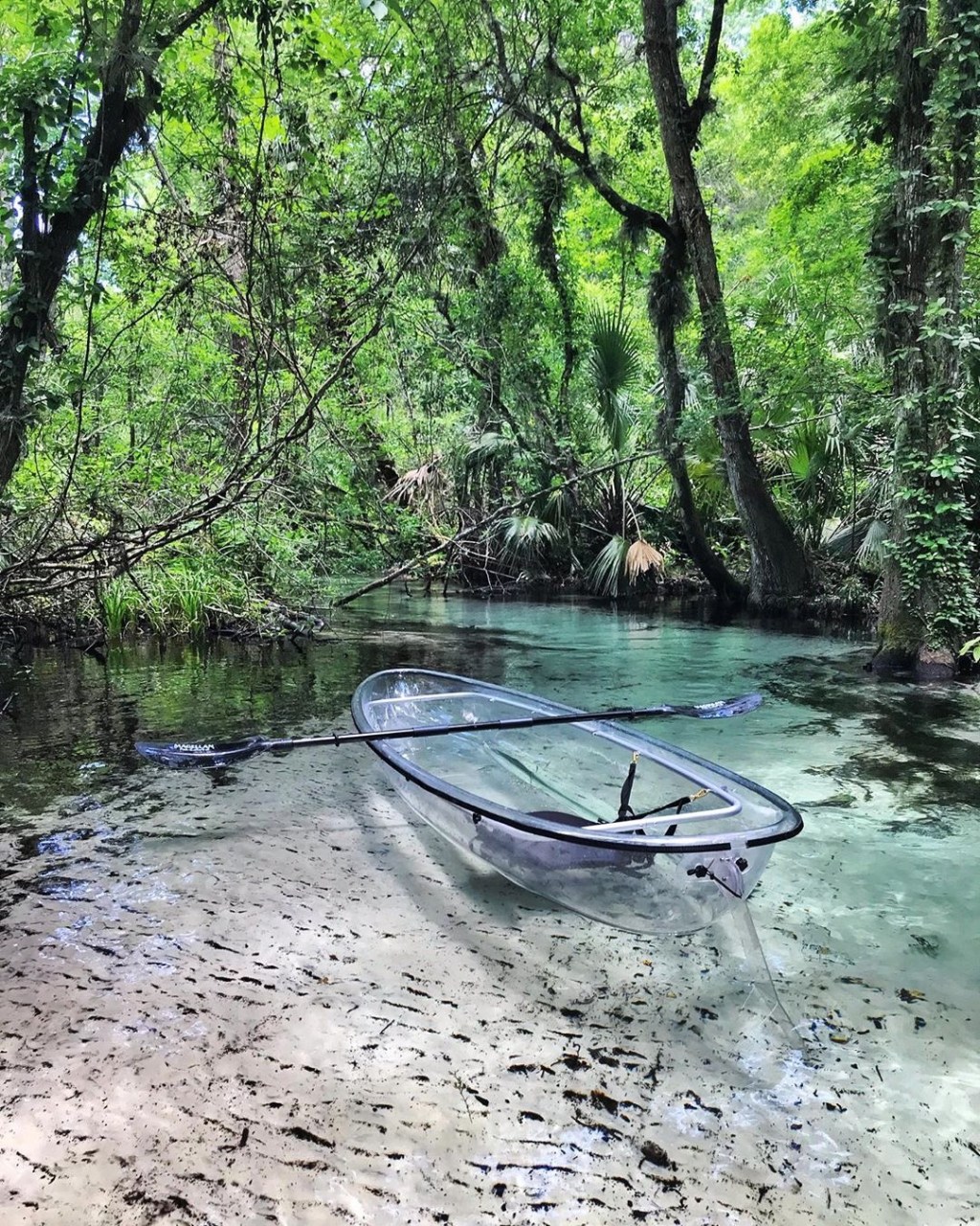 a boat floating along a river next to a body of water