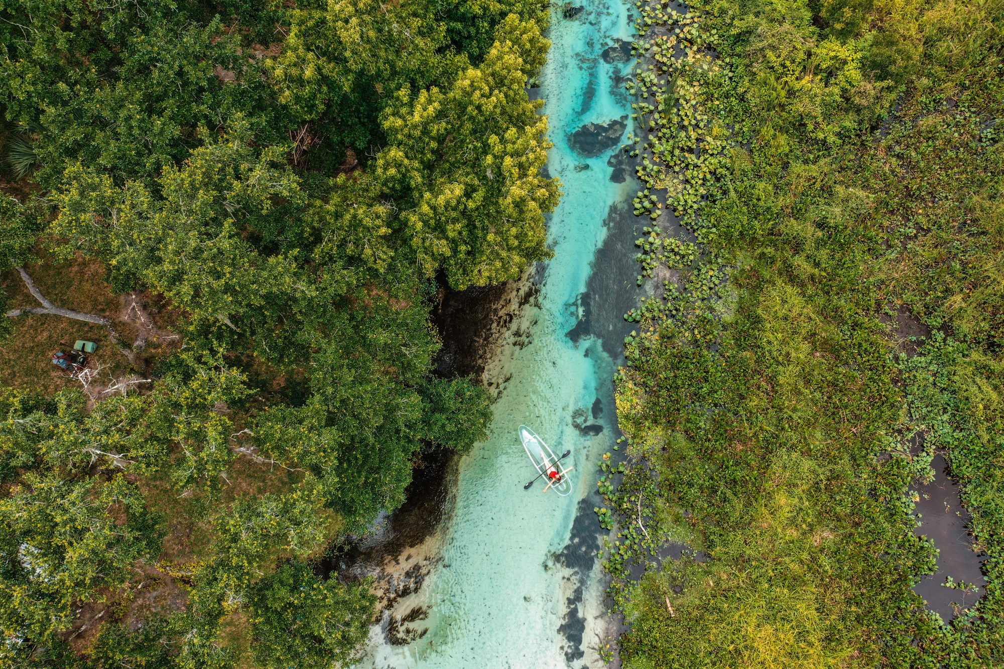 Drone_USAtodayedit-12 a close up of a tree