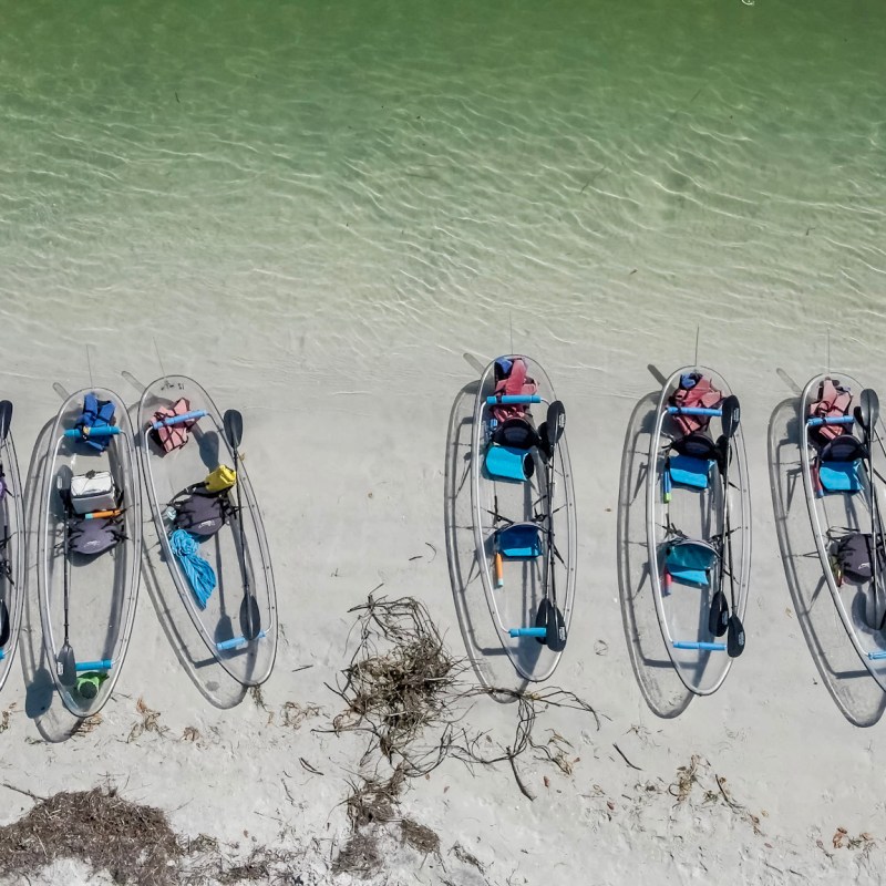 a group of people on a beach