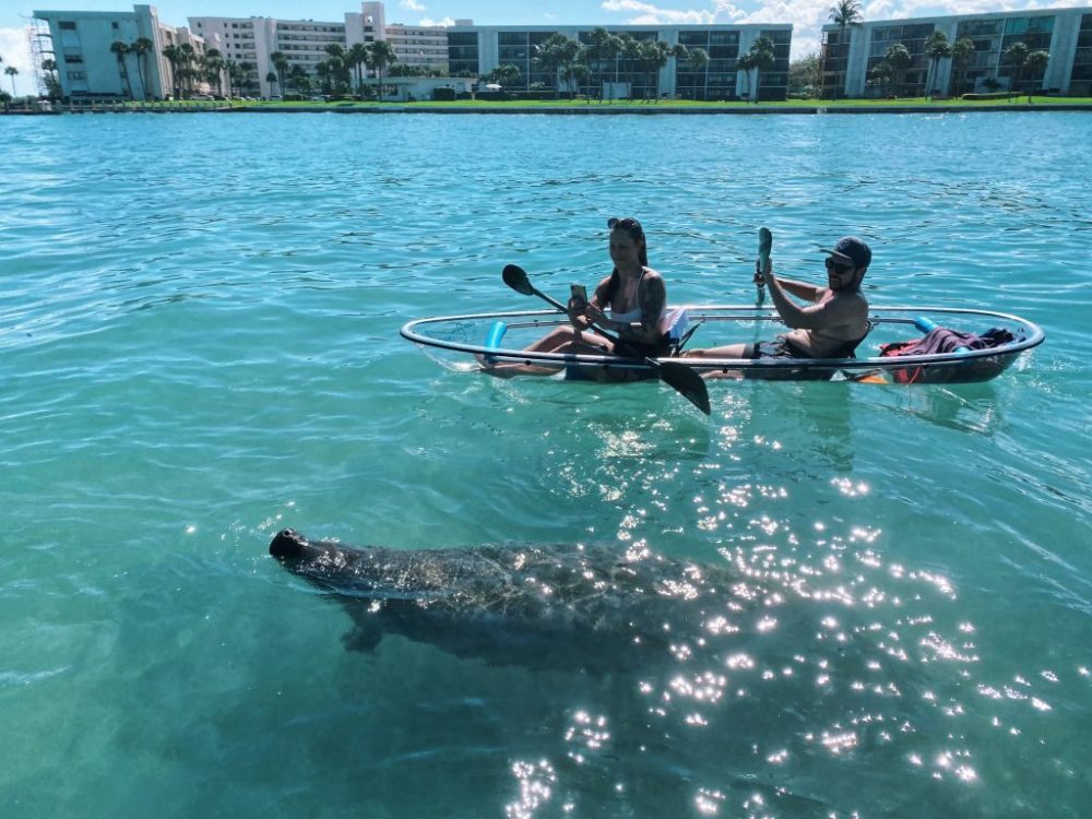 a group of people riding on the back of a boat in the water