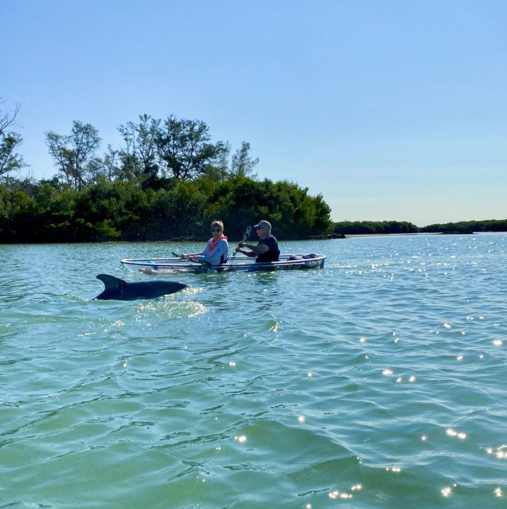 a group of people rowing a boat in a body of water
