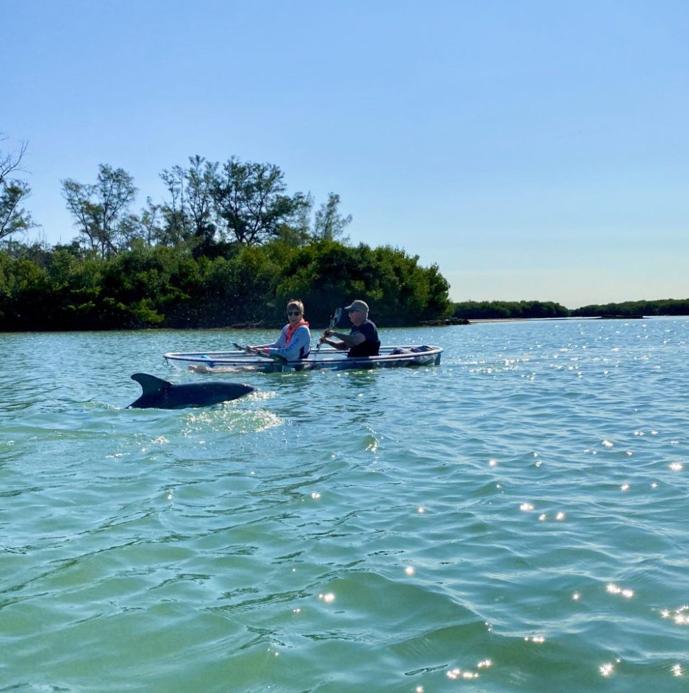 a group of people rowing a boat in a body of water