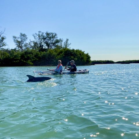 a group of people rowing a boat in a body of water