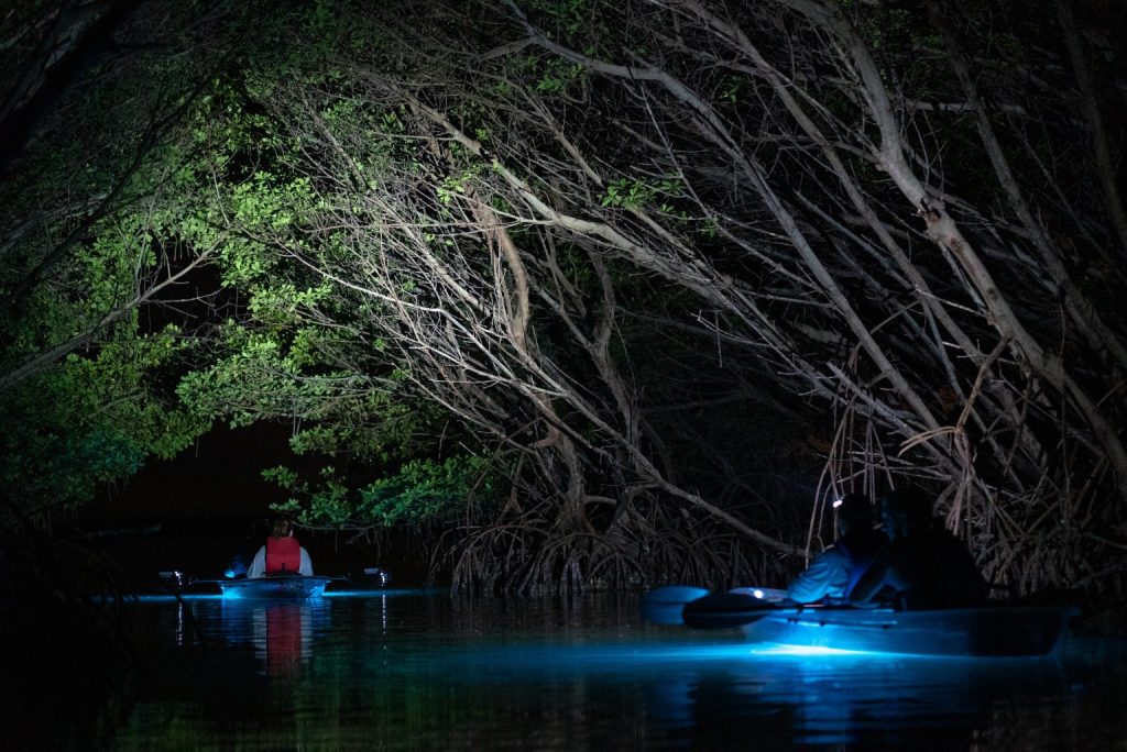 a small boat in a body of water