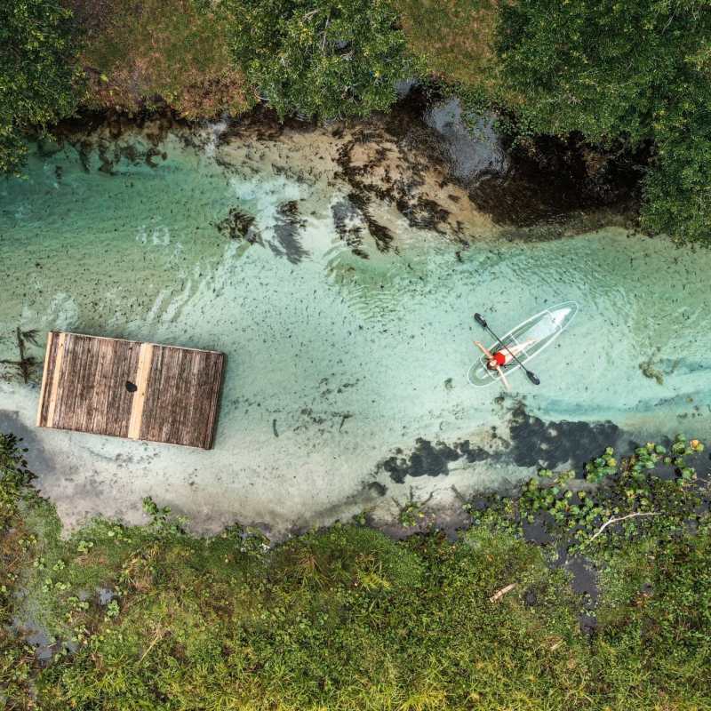 a flock of birds flying over a body of water