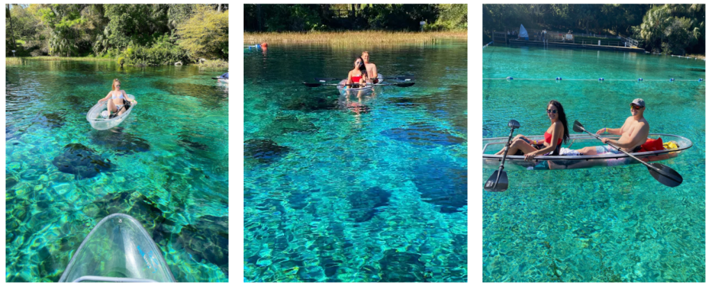 a group of people swimming in a pool of water