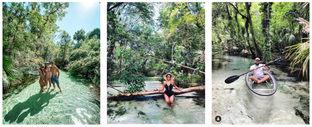a group of people swimming in a body of water