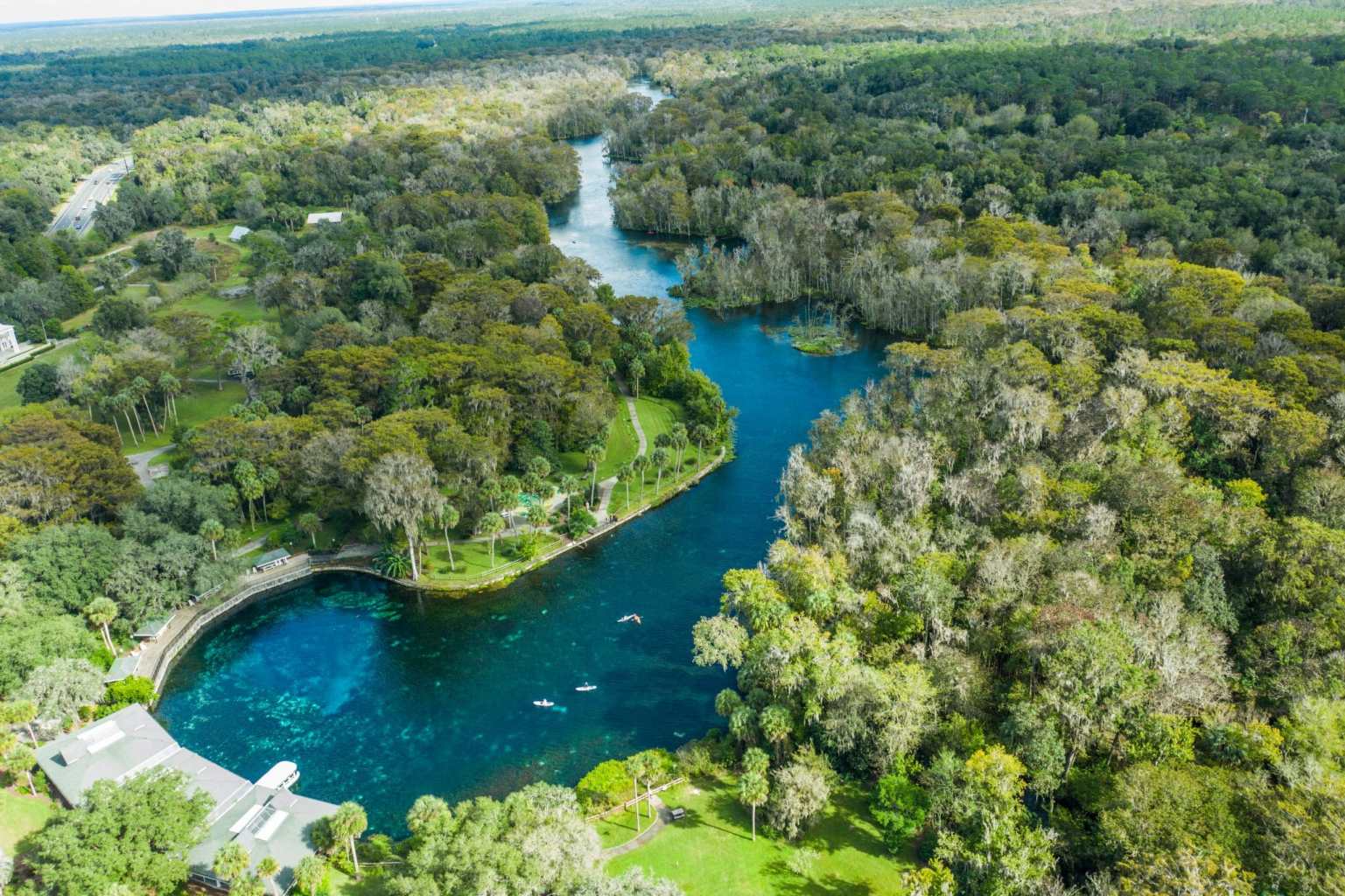 a body of water surrounded by trees