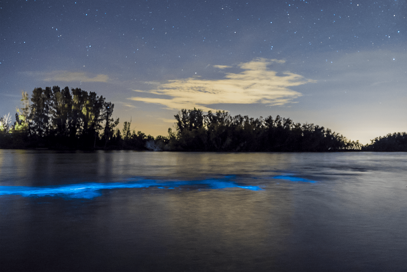 Bioluminescence_In_Water_PhotoBy_Tony_Catalano a sunset over a body of water