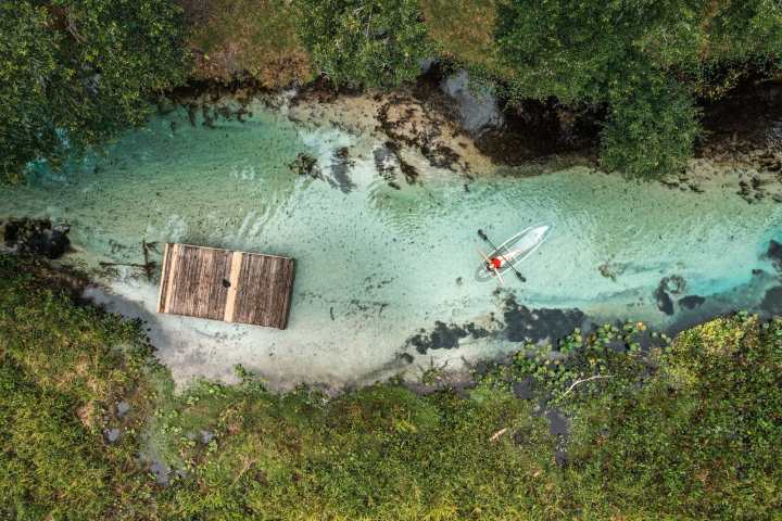 a flock of birds flying over a body of water