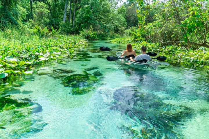 a group of people swimming in a body of water surrounded by trees