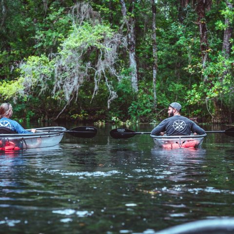 a group of people rowing a boat in the forest