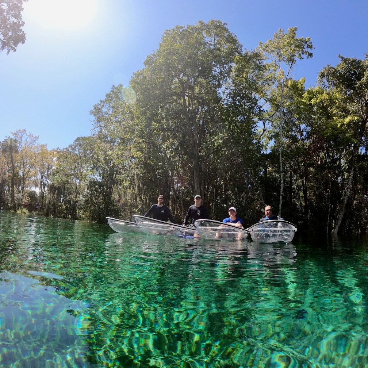 a group of people swimming in a body of water surrounded by trees