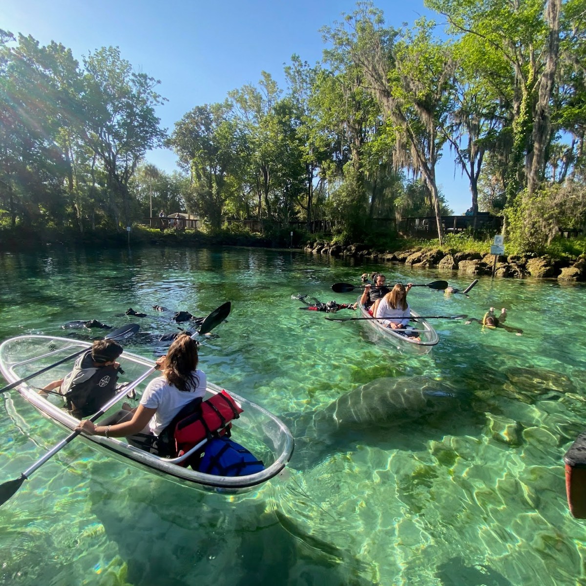 a group of people riding on the back of a boat in the water