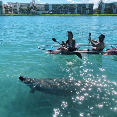 a group of people riding on the back of a boat in the water
