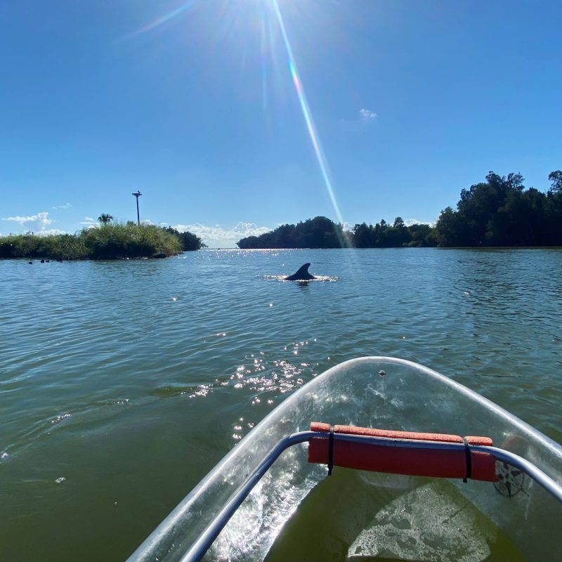 a person sitting in a boat on a body of water