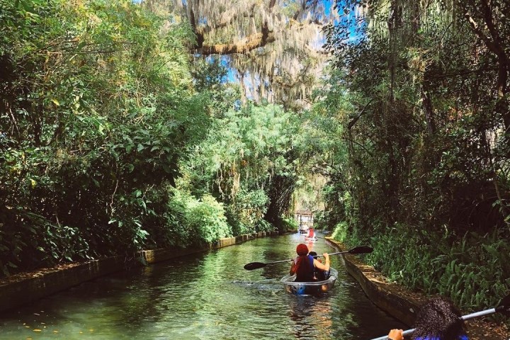 a group of people riding on the back of a boat in the forest