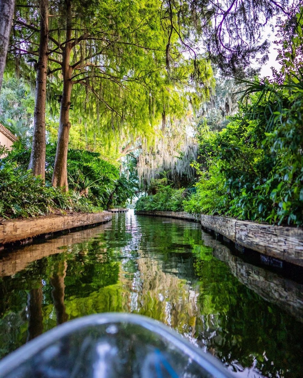 a waterfall in a forest