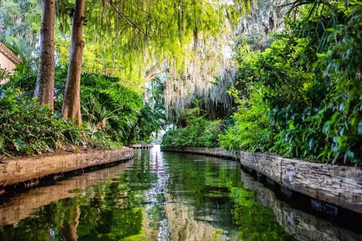 a waterfall in a forest