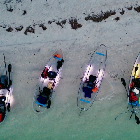 a group of people skiing on the snow
