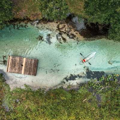 a flock of birds flying over a body of water