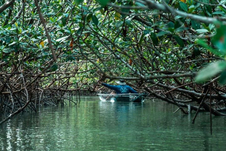 a close up of a pond of water
