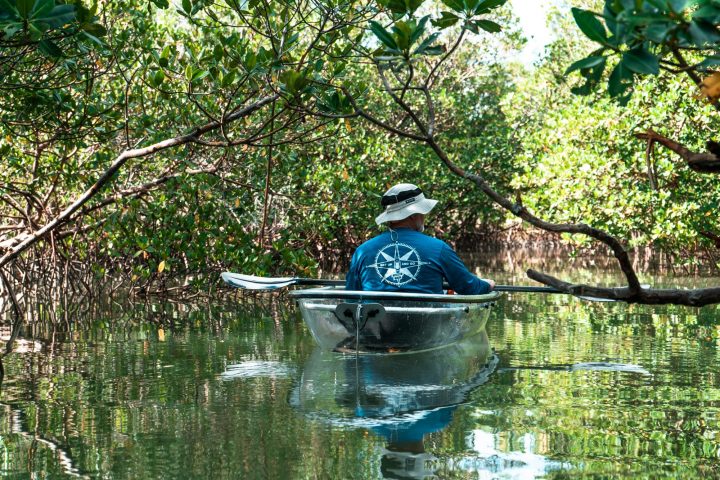 a person riding on the back of a boat next to a tree