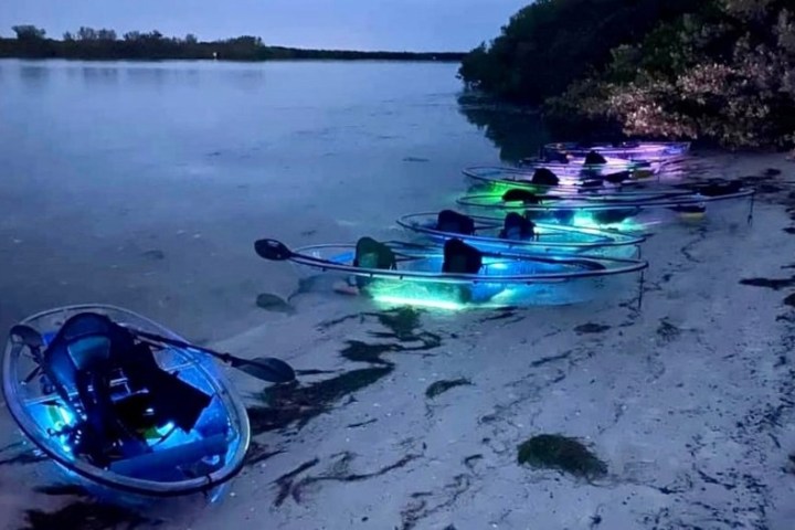 a group of people swimming in a body of water