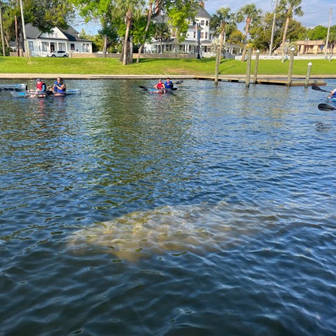 a group of people rowing a boat in the water