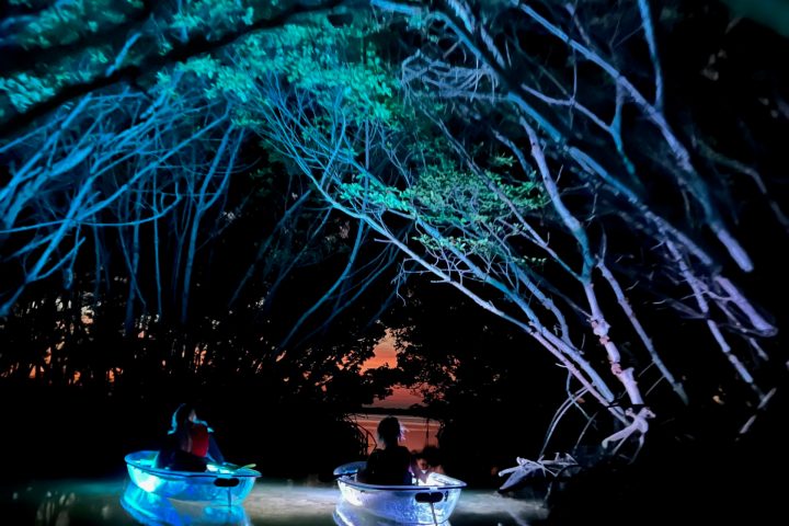 a group of fireworks in the sky