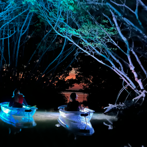 fireworks in the sky