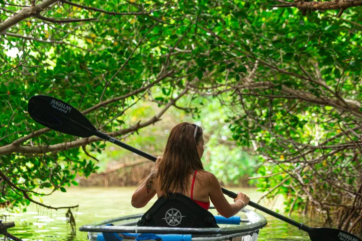 a person riding on the back of a boat next to a tree