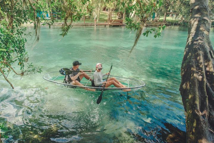 a group of people swimming in the water