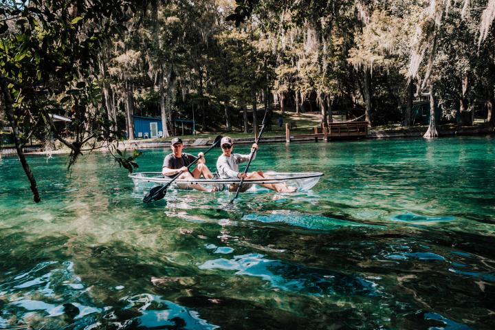 a group of people swimming in a body of water surrounded by trees