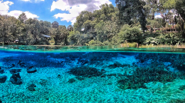 a body of water surrounded by trees