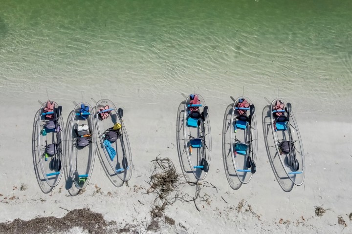 a group of people on a beach