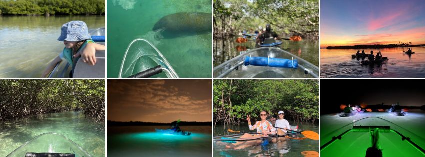 Collage of kayaking in mangroves and sunset waters with people and illuminated scenes.