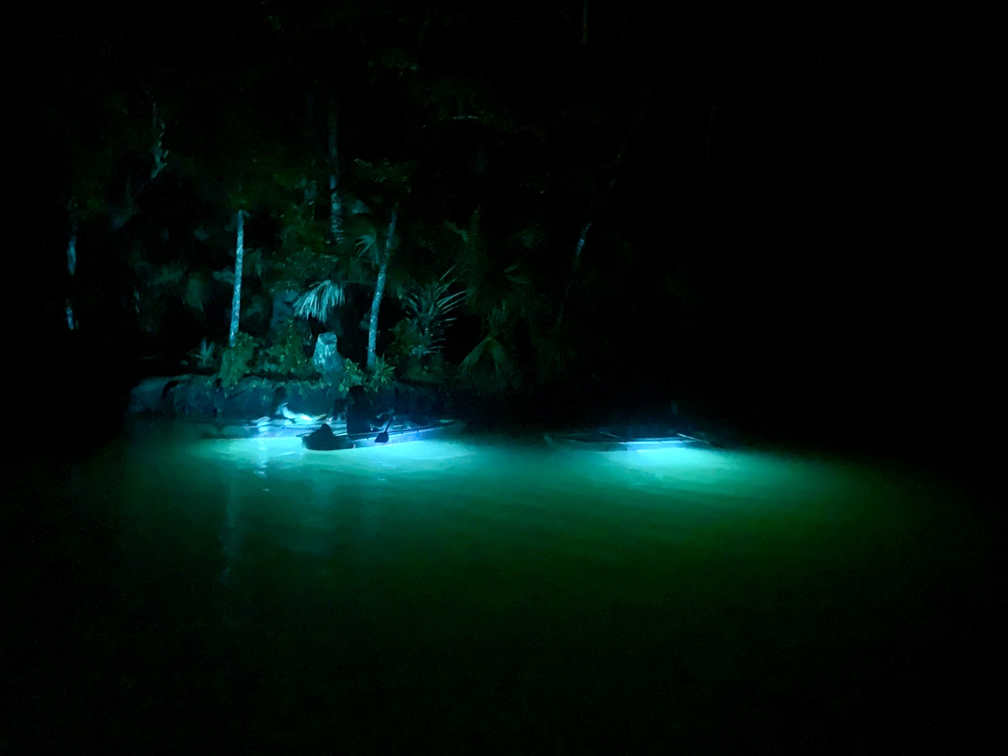 Weeki Wachee Nightime Kayak Ecotour - Weeki Wachee Clear Kayak Glow Tours 1 
