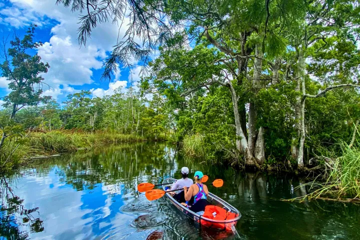 a boat floating along a river next to a body of water