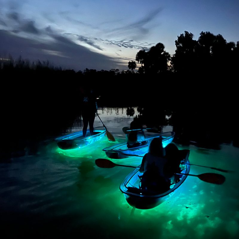 a group of people riding skis on a snowy mountain