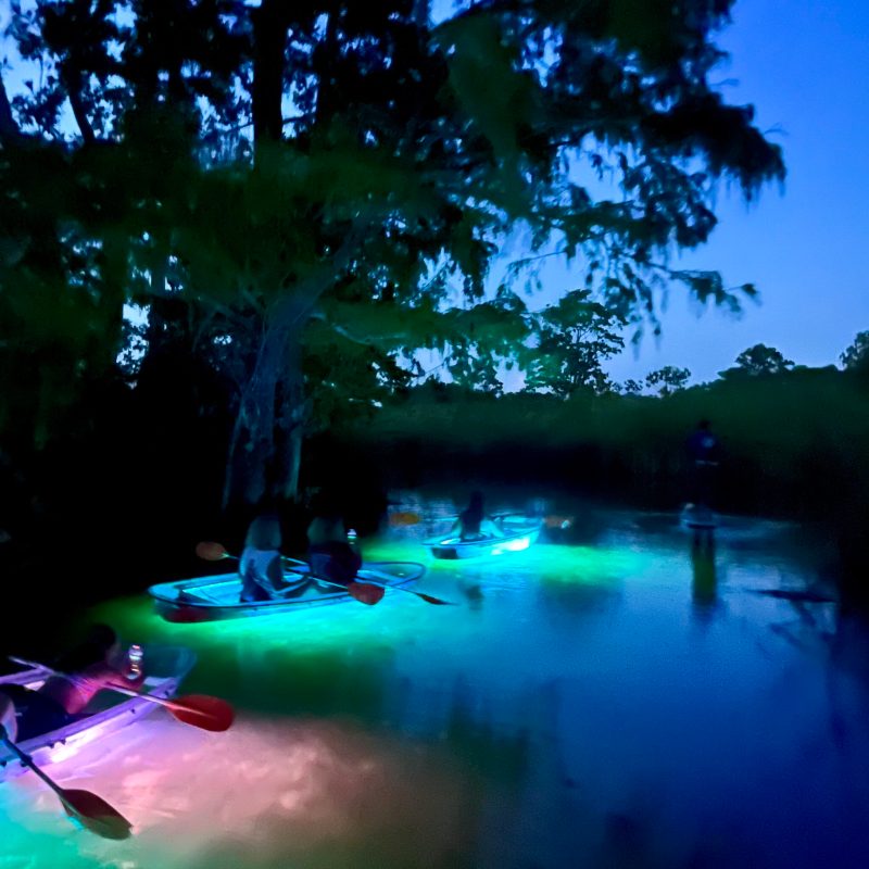 a group of people in a dark room