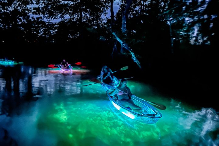 a group of people riding skis on a body of water