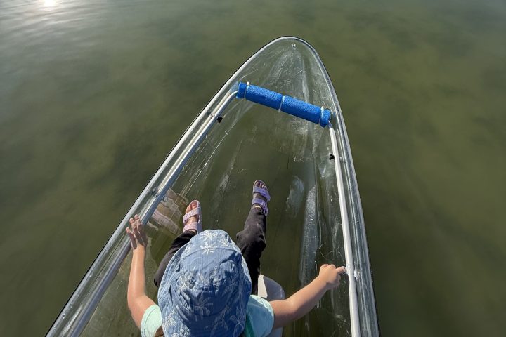 Person in clear kayak on calm water with greenery reflecting under blue sky.