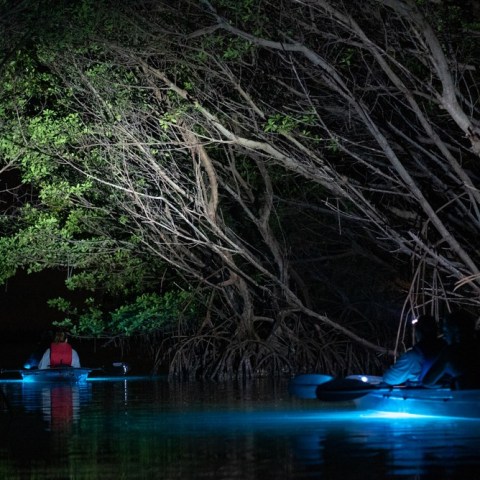 a small boat in a body of water