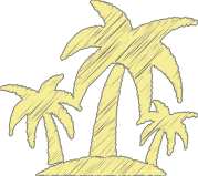 a close up of a leaf