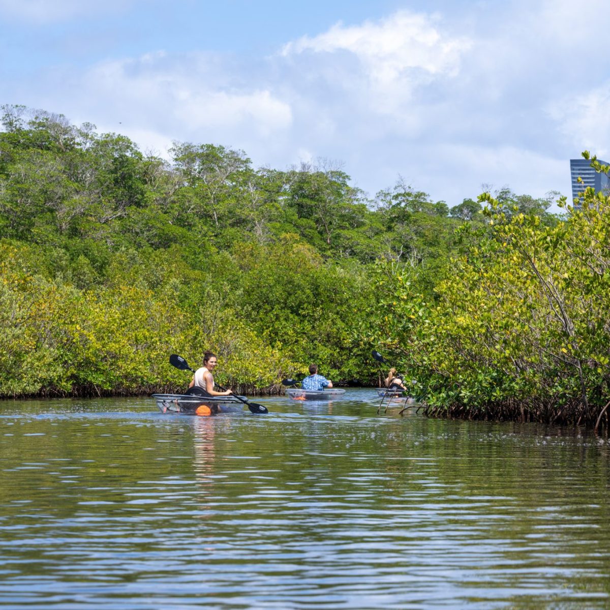 a group of people rowing a boat in a body of water