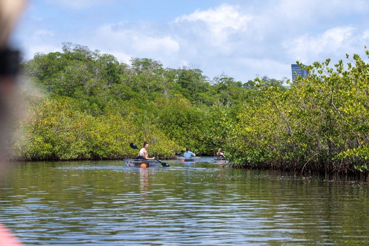 a group of people rowing a boat in a body of water
