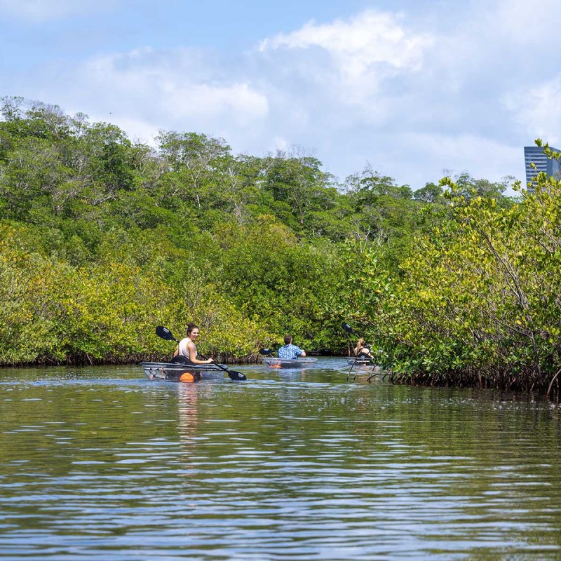 a group of people rowing a boat in a body of water