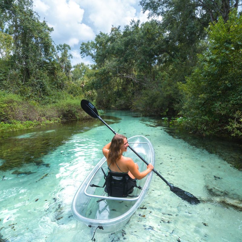 a person swimming in the water
