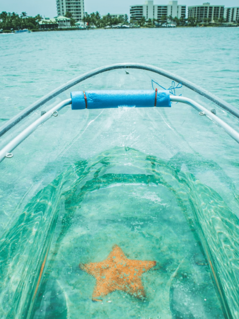 a large body of water